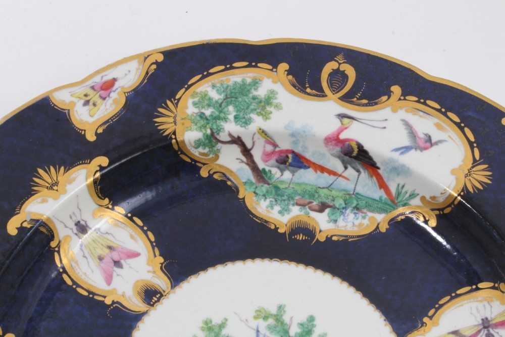 Scarce early 19th century possibly Coalport copy of first period Worcester plate with painted bird a - Image 4 of 7