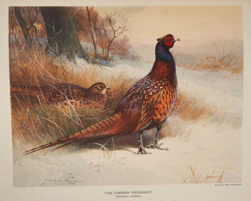 John Guille Millais - The Natural History of British Game Birds, Longmans, Green & Co., 1909, number - Image 3 of 4