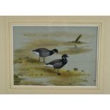 Philip Rickman (1891-1982) watercolour and gouache - Pair of Brent Geese, signed and dated 1962, 29c