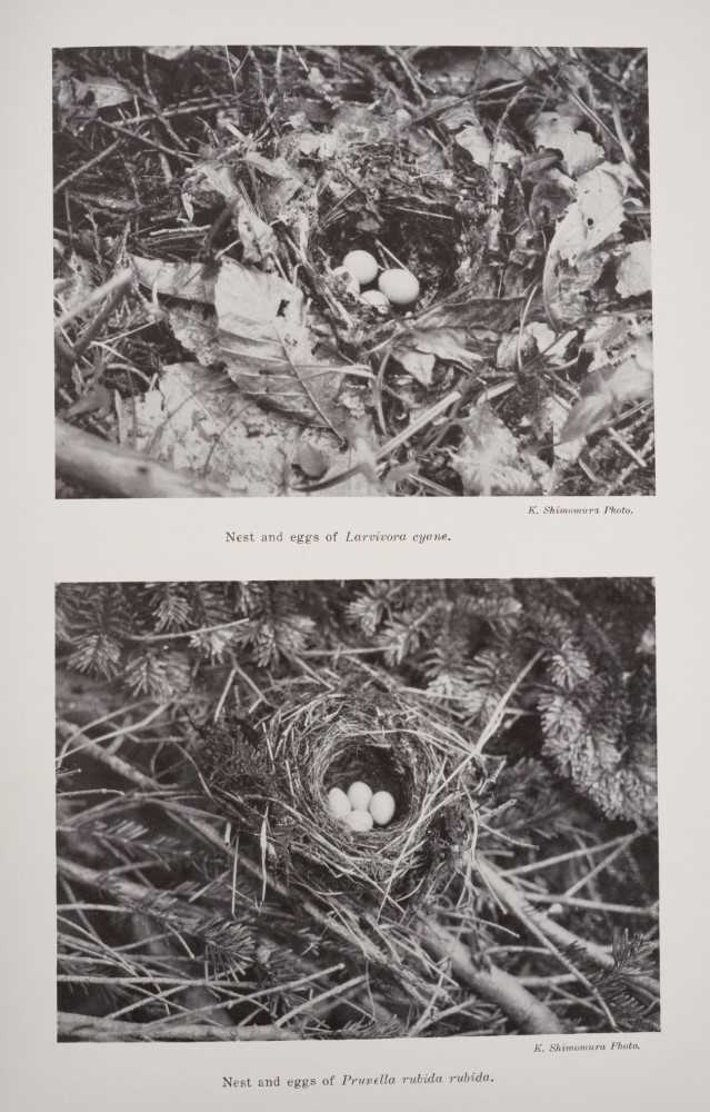 Kobayashi (Keisuke, & Takeo Ishizawa) - The Eggs of Japanese Birds, 3 volumes, 1st edition, Kobe: Ke - Image 5 of 12