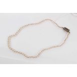 Cultured pearl necklace with a single strand of graduating pearls and a Georgian yellow metal seed p