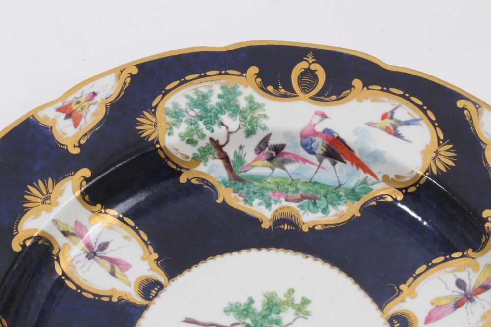 Scarce early 19th century possibly Coalport copy of first period Worcester plate with painted bird a - Image 5 of 7