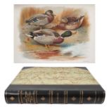 John Guille Millais - The Natural History of British Surface Feeding Ducks, numbered 412 of 600 copi