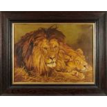Attributed to Geze Vastagh (1866-1919), oil on canvas, Lion and Lioness, 50cm x 69cm, framed