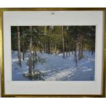 Sergei Oussik (b. 1958) pastel - Woodland scene, monogrammed, 39cm x 58cm, in glazed gilt frame