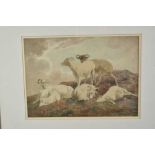 Robert Hills (1769-1844) watercolour - Sheep at Rest, signed verso, 26cm x 36cm, in glazed gilt fram