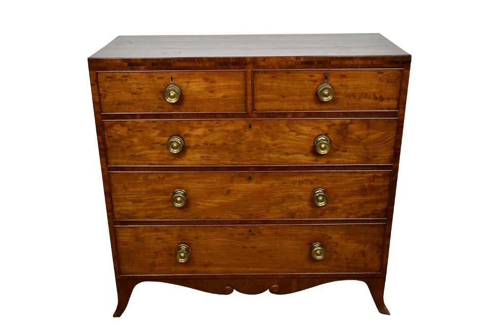 Regency plum pudding mahogany chest of drawers