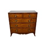 Regency plum pudding mahogany chest of drawers