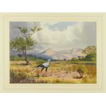 *John Cyril Harrison (1898-1985) watercolour - Secretary Bird in Kruger National Park, signed, 33cm