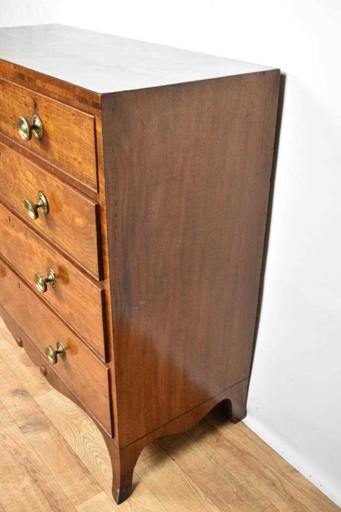Regency plum pudding mahogany chest of drawers - Image 2 of 6