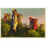 *Gerald Spencer Pryse (1882-1956) colour lithograph - Tea Picking in Ceylon, issued by the Empire Ma