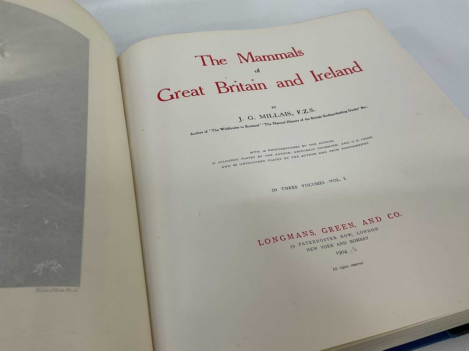 John Guille Millais - The Mammals of Great Britain and Ireland, 3 vols. 1905 first edition - Image 5 of 7