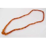 Old graduated amber polished bead necklace