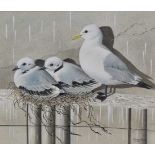 Richard Hull (b.1946) watercolour - Kittiwakes on Lowestoft Pier, signed, 31cm x 37cm, in glazed fra