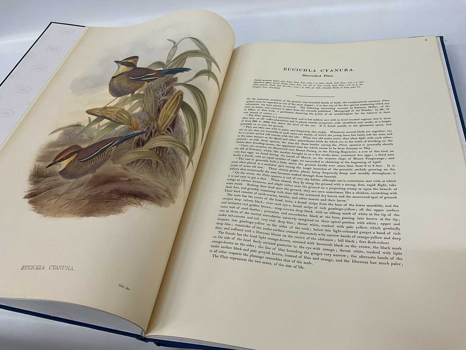 John Gould - Birds of Great Britain, Vol. 1, Birds of Asia, Vol 7, Toucans and Monograph on The Pitt - Image 3 of 6