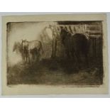 *Gerald Spencer Pryse (1882-1956) lithograph - the foal, signed in pencil below, 32cm x 47cm, unfram