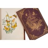 H. Humphreys - British Butterflies and Their Transformations, complete with forty two plates, London