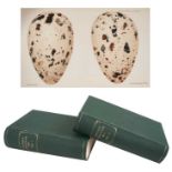 John Wolley - Ootheca Wolleyana: an Illustrated Catalogue of the Collection of Birds' Eggs begun by
