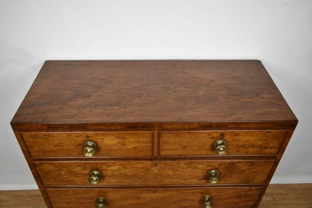 Regency plum pudding mahogany chest of drawers - Image 4 of 6