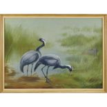 Philip Rickman (1891-1982) watercolour and gouache - Pair of Demoiselle Cranes, signed and dated 196