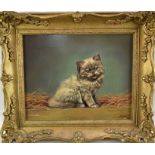 Alicia J. Leman, oil on panel, A British short hair kitten, signed, in gilt frame. 23 x 30cm.