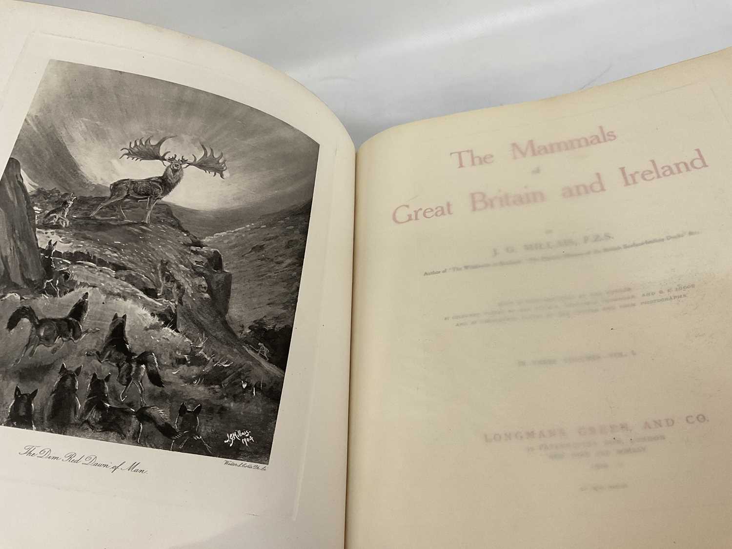 John Guille Millais - The Mammals of Great Britain and Ireland, 3 vols. 1905 first edition - Image 3 of 7