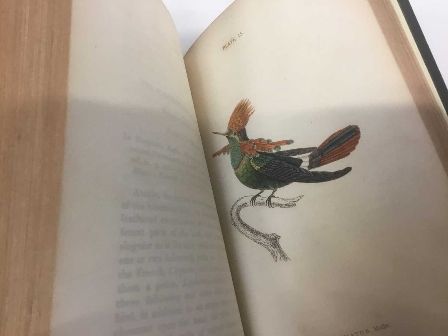 William Jardine - The Natural History of Humming-Birds, The Naturalist's Library series, 2 volumes, - Image 3 of 16