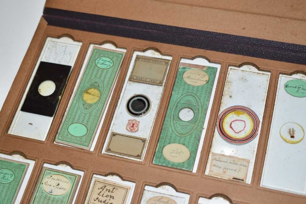 Collection of twenty Victorian glass microscopic slides, several with decorative paper mounts and ea - Image 3 of 6