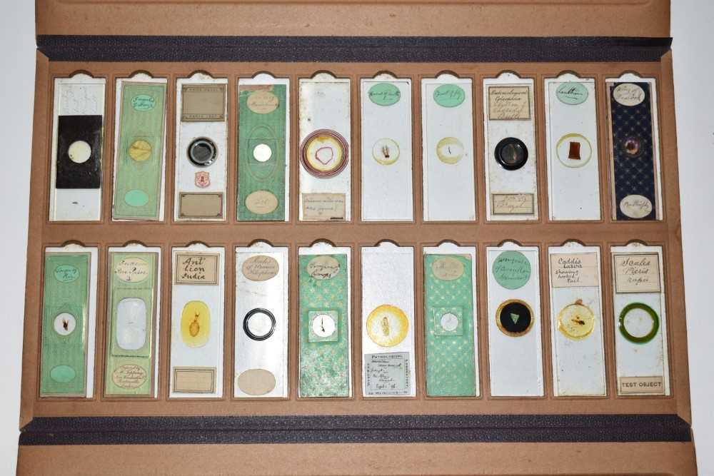 Collection of twenty Victorian glass microscopic slides, several with decorative paper mounts and ea