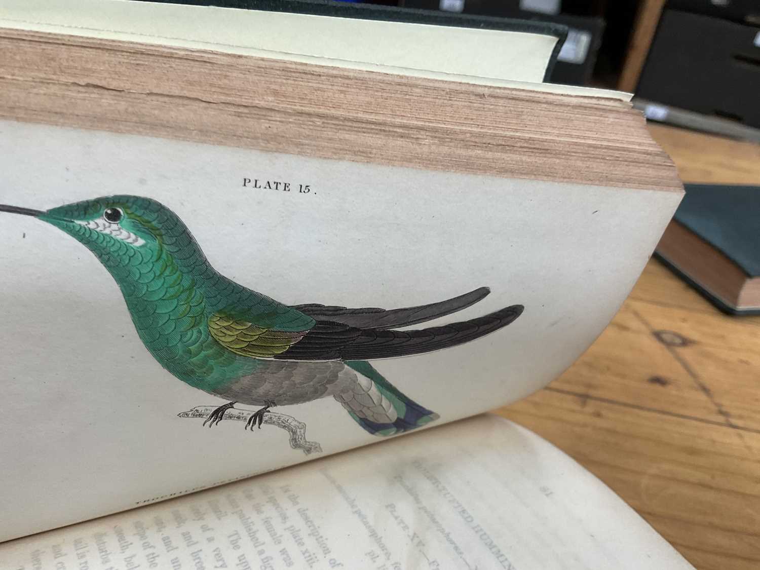 William Jardine - The Natural History of Humming-Birds, The Naturalist's Library series, 2 volumes, - Image 5 of 16