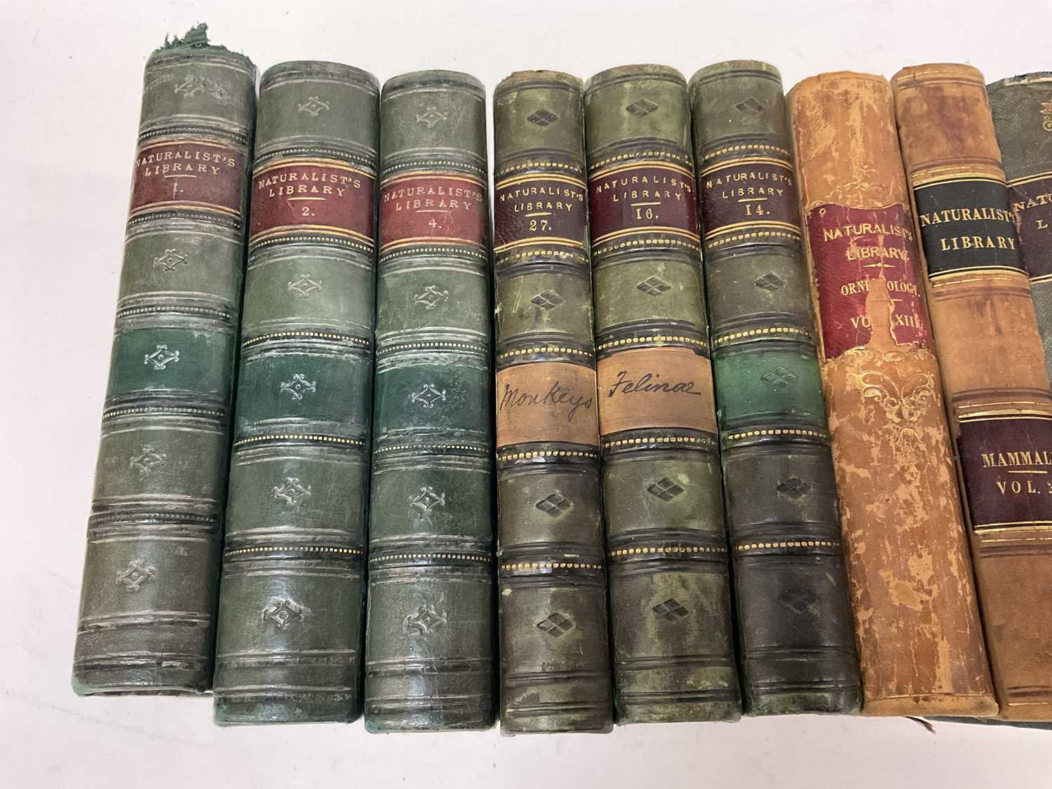 Sir William Jardine, The Naturalist's Library, 15 Vols. in total including Birds of Great Britain an - Image 2 of 41