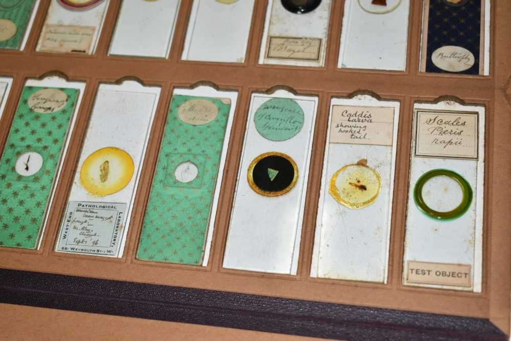 Collection of twenty Victorian glass microscopic slides, several with decorative paper mounts and ea - Image 5 of 6