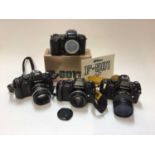 Four Nikon F series SLR cameras, including 2 x F-501 AF with lenses, one F-301 with lens, and one F-