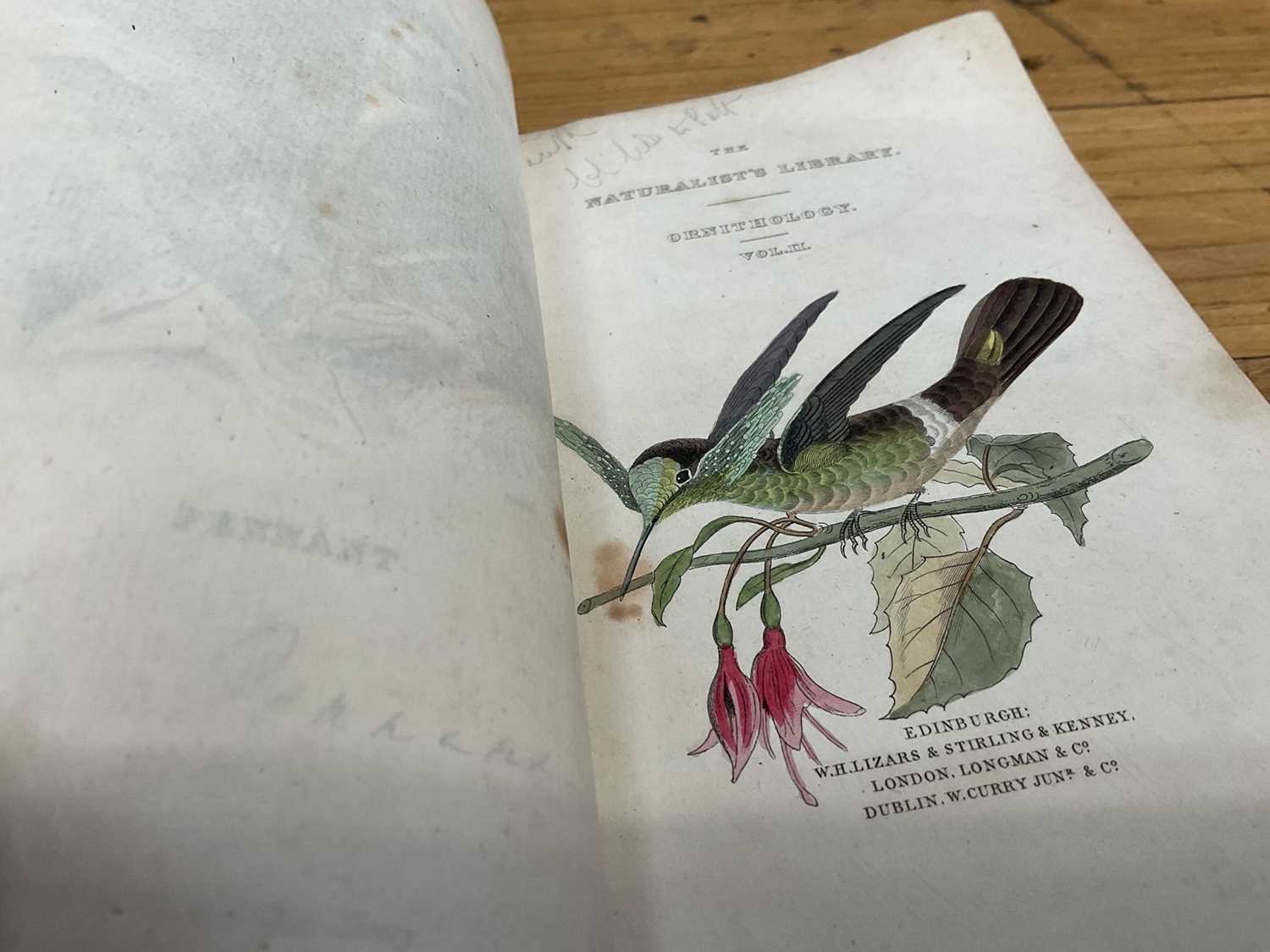 William Jardine - The Natural History of Humming-Birds, The Naturalist's Library series, 2 volumes, - Image 7 of 16