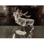 Swarovski crystal Rare Encounters Stag, boxed