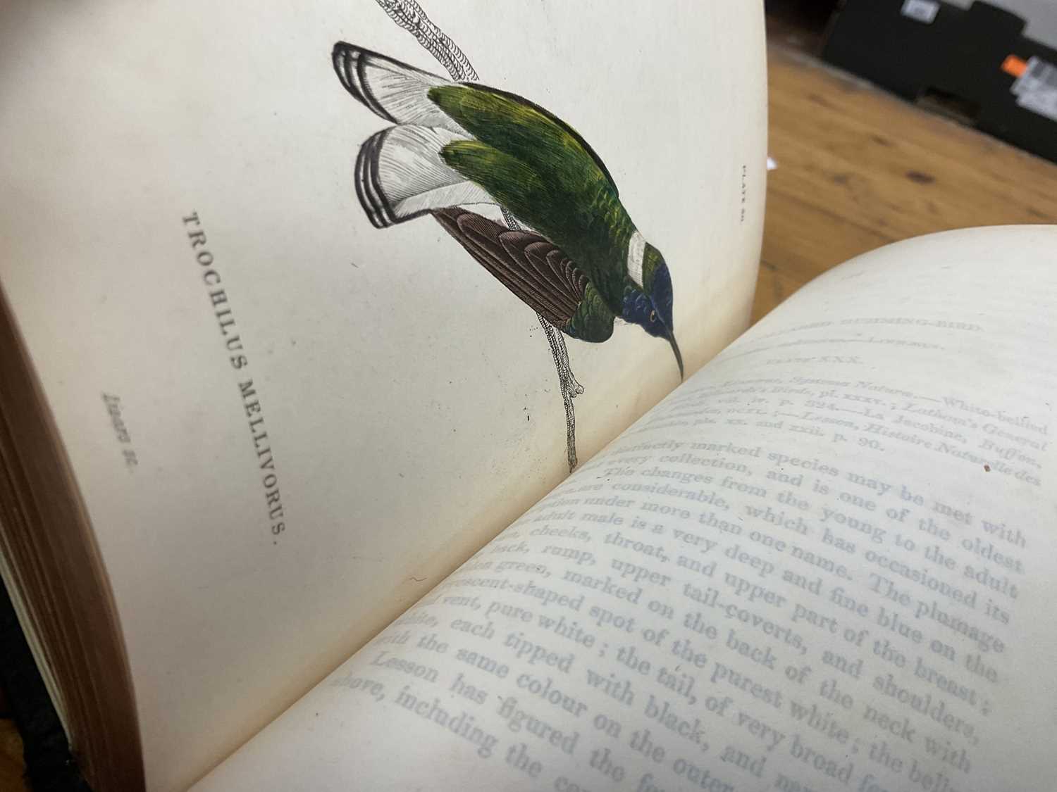William Jardine - The Natural History of Humming-Birds, The Naturalist's Library series, 2 volumes, - Image 10 of 16