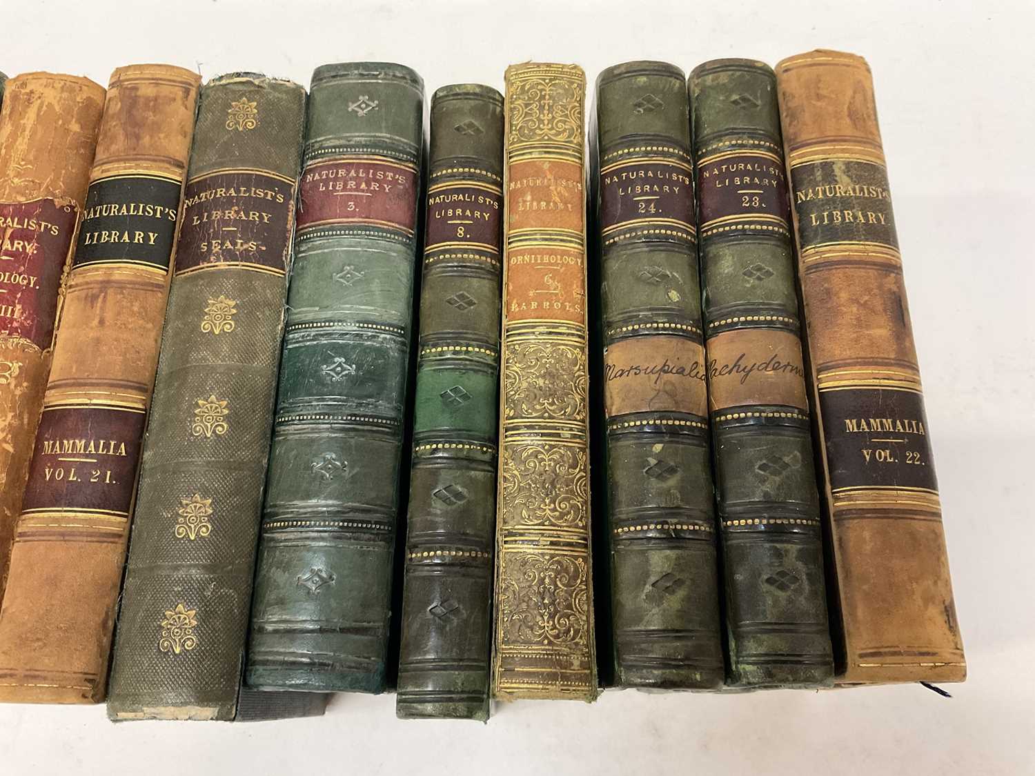 Sir William Jardine, The Naturalist's Library, 15 Vols. in total including Birds of Great Britain an - Image 4 of 41