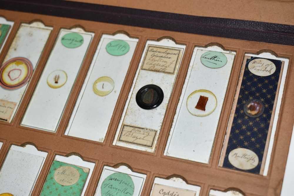 Collection of twenty Victorian glass microscopic slides, several with decorative paper mounts and ea - Image 2 of 6