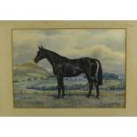 Dorothy Margaret & Elizabeth Mary Alderson, watercolour - a black horse in landscape, signed and dat