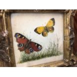 Hand-painted picture of two butterflies in gilt frame