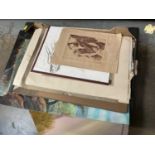 Box drawings, prints, watercolors, oils