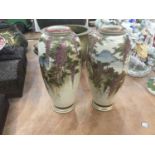 Pair of Japanese Satsuma vases, circa 1900, marked to bases, painted with wisterias
