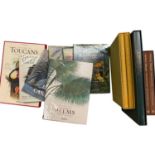 Group of oversize natural history books