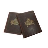 Picturesque Canada, 2 leather bound volumes containing over 500 engravings on wood. Published in Tor