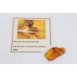 Specimen of Baltic amber, housing two preserved bugs