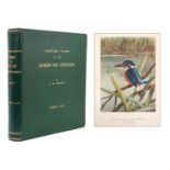 George Morrison Henry - Coloured plates of the Birds of Ceylon, text Walter Ernest Wait, Ceylon Gove