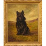 English School, early 20th century, oil on canvas - portrait of a Scottie, Hamish, aged 4, 61cm x 51