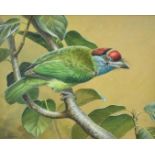 D M Henry (contemporary) watercolour and bodycolour, Blue Throated Barbet, signed, 19 x 24cm, glazed