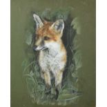 KRS, bodycolour, fox cub, signed and dated '80, 29 x 23cm, framed