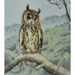 *Trevor Boyer (b. 1948) watercolour and bodycolour, Striped Owl, signed, 29 x 21cm, glazed frame